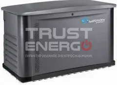 Газовый генератор Mirkon Energy MKG8M В кожухе Mirkon Energy  trustenergo.ru