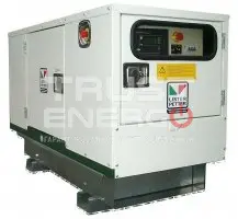 Дизельный генератор Lister Petter LWA 27/LLD 250 3 фазы в кожухе с АВР Lister Petter  trustenergo.ru Дизельный генератор Lister Petter LWA 27/LLD 250 3 фазы в кожухе с АВР Lister Petter  trustenergo.ru