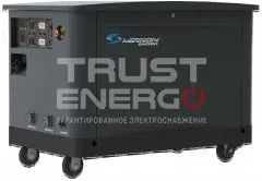 Газовый генератор Mirkon Energy MKG21MF с АВР В кожухе Mirkon Energy  trustenergo.ru