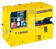 Бензиновый генератор Eisemann T 14000 E BLC В кожухе Briggs&Stratton Vanguard 380447 trustenergo.ru
 Бензиновый генератор Eisemann T 14000 E BLC В кожухе Briggs&Stratton Vanguard 380447 trustenergo.ru
