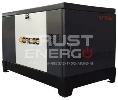 Газовый генератор Genese Standard 14000 Neva кожухе В кожухе  2G99 trustenergo.ru