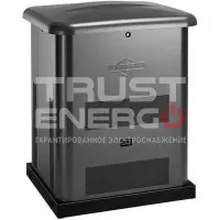 Газовый генератор Briggs & Stratton G80 с АВР В кожухе Briggs&Stratton Vanguard V-TWIN trustenergo.ru Газовый генератор Briggs & Stratton G80 с АВР В кожухе Briggs&Stratton Vanguard V-TWIN trustenergo.ru