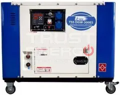 Сварочный генератор ТСС DGW-300ES В кожухе TSS SV292F trustenergo.ru Сварочный генератор ТСС DGW-300ES В кожухе TSS SV292F trustenergo.ru